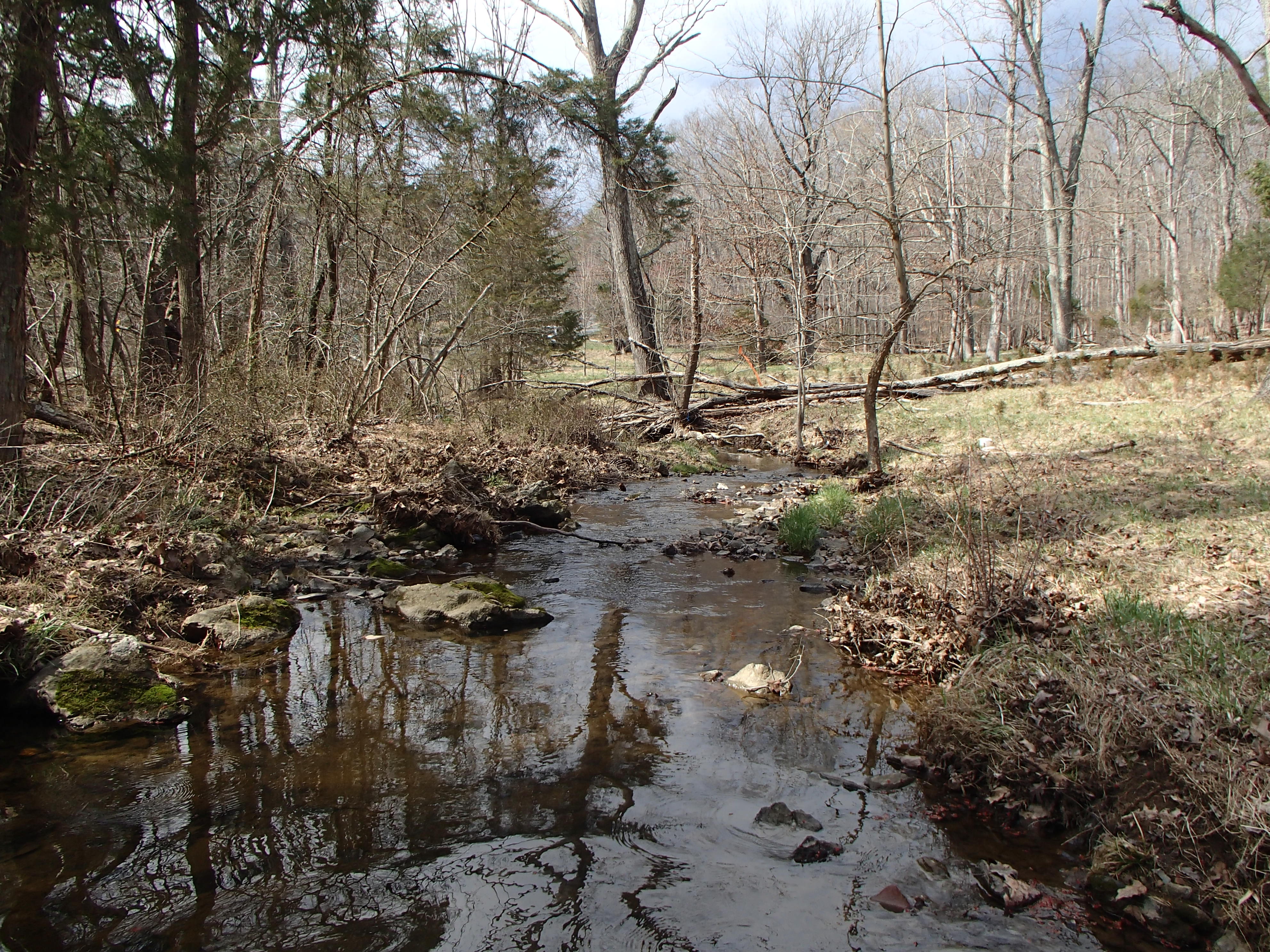 Field photo showing stream conditions at site PRMO-207-X-2016_Midpoint looking downstream